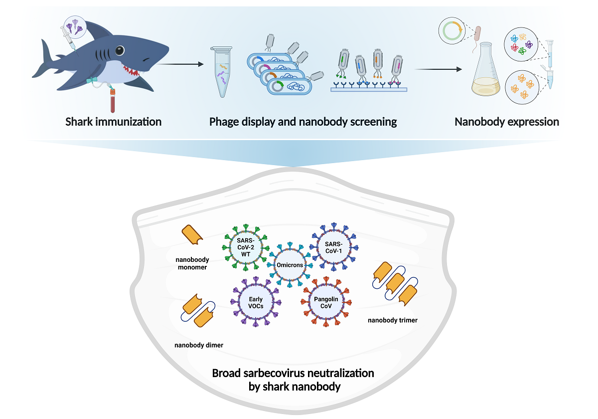 1741166444718886.png 1741166444718886.png