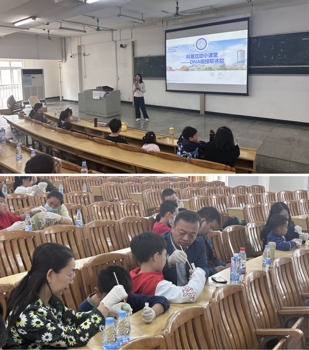 1742806546281015.jpg 1742806546281015.jpg