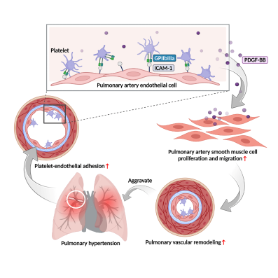 1742807099165872.png 1742807099165872.png