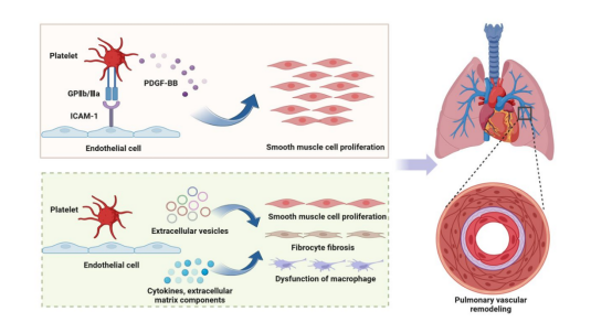 1742807128261514.png 1742807128261514.png