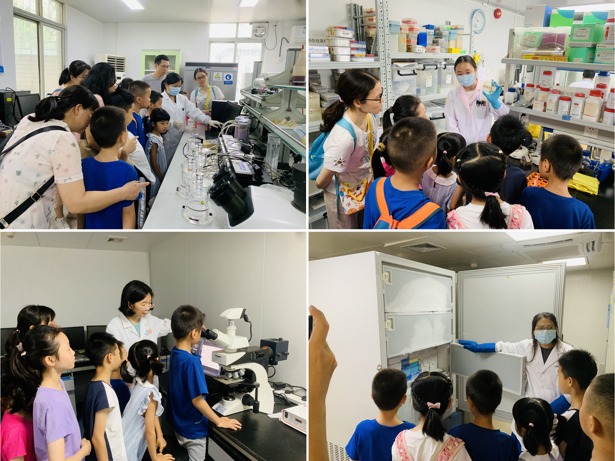 1748483245819249.jpg 1748483245819249.jpg