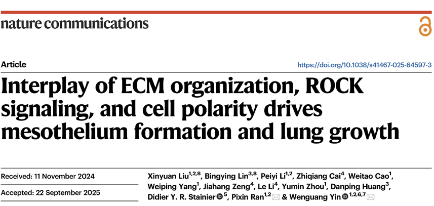 1763602174354814.png 1763602174354814.png