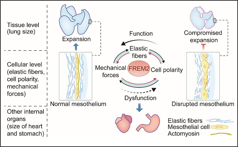 1763602189195836.png 1763602189195836.png