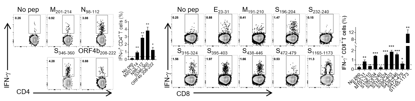 1772586948438385.png 1772586948438385.png