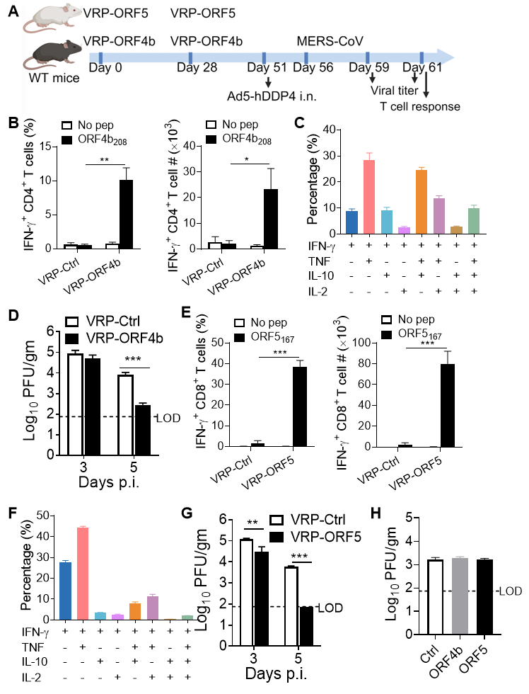 1772587017383159.png 1772587017383159.png