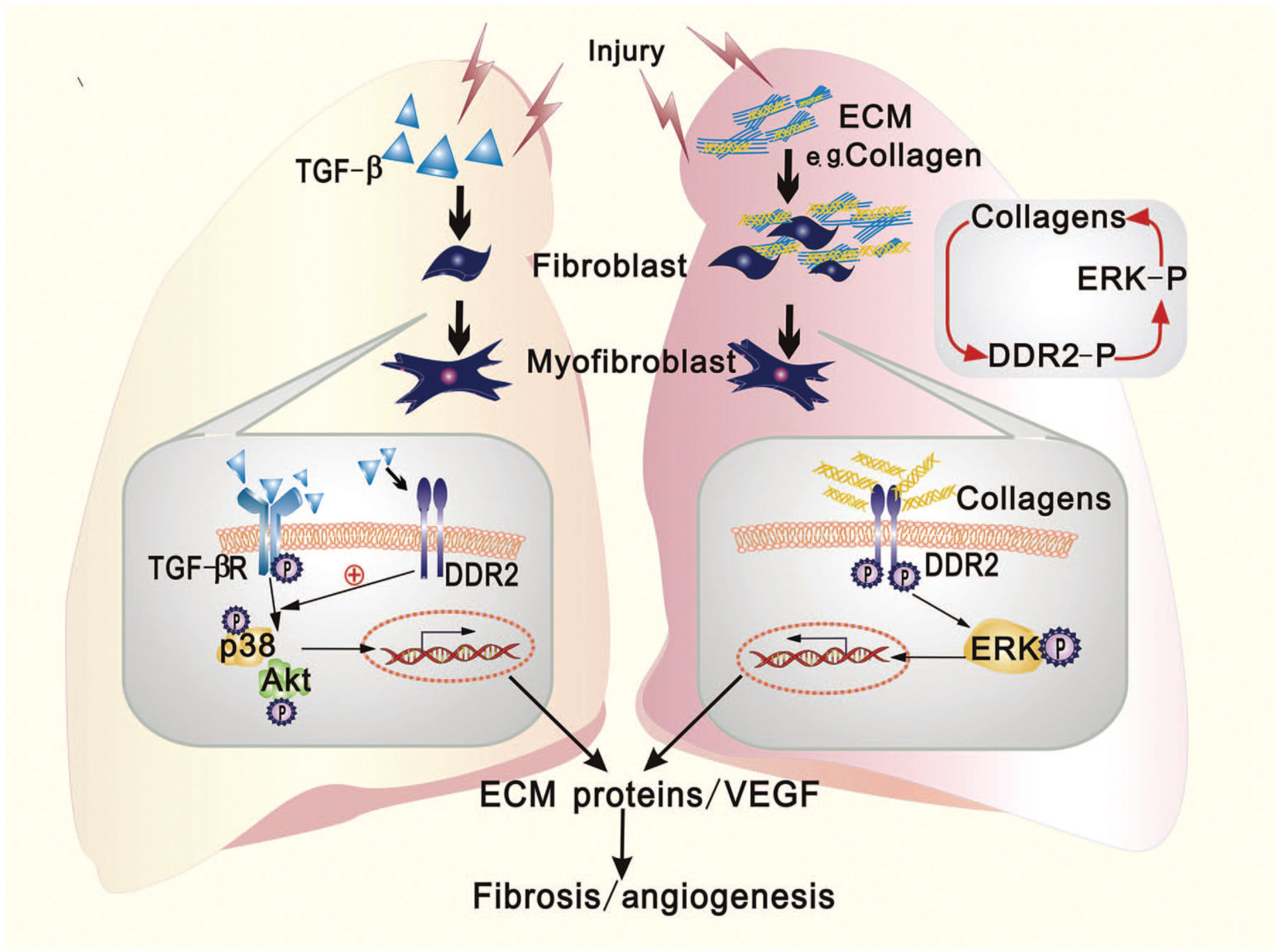 1518161293170523.png 1518161293170523.png